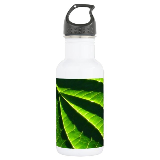 Botella De Agua Hoja verde de Guay (Anverso)