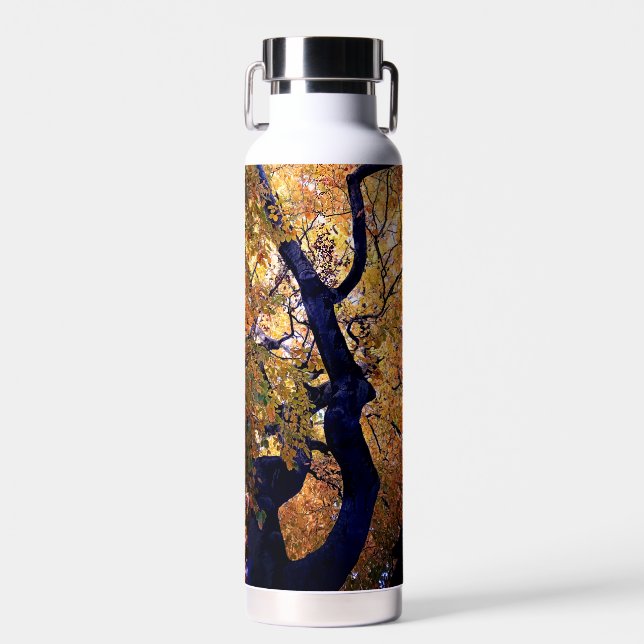 Botella De Agua Hojas amarillas y naranjas (Delantero)