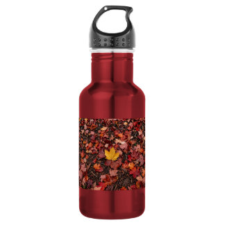 Botella De Agua Hojas de otoño