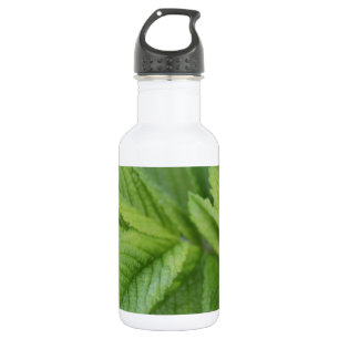 Botella De Agua hojas de rosa verde primavera