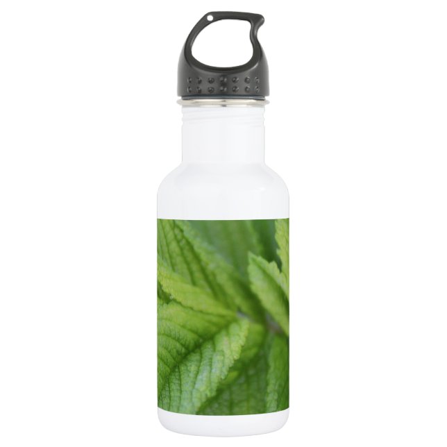 Botella De Agua hojas de rosa verde primavera (Anverso)