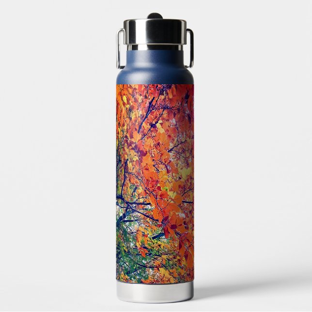 Botella De Agua hojas naranjas (Frente)