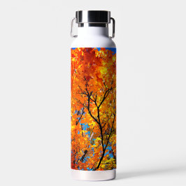 Botella De Agua hojas naranjas