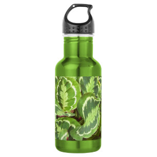 Botella De Agua Hojas verdes