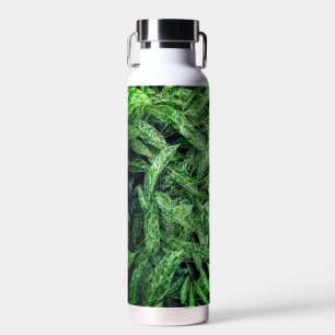 Botella De Agua Hojas verdes
