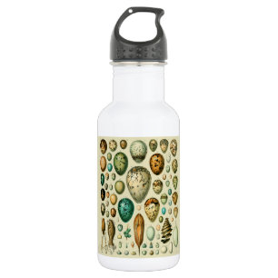 Botella De Agua Huevos de aves de corral arte de huevo de pescado