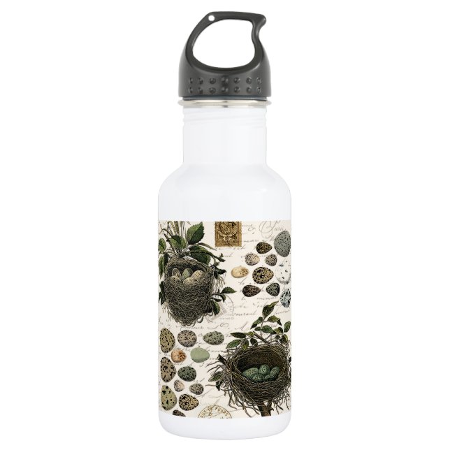 Botella De Agua Huevos y nidos de aves vitícolas franceses moderno (Anverso)
