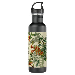 Botella De Agua Hummingbird Ruby Throated Audubon