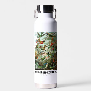Botella De Agua Hummingbirds Ernest Haeckel Artefanías De La Natur
