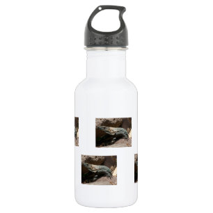 Botella De Agua Iguana curiosa