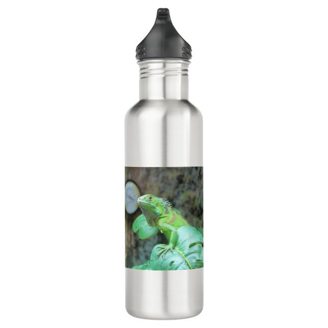 Botella De Agua iguana verde (Derecha)