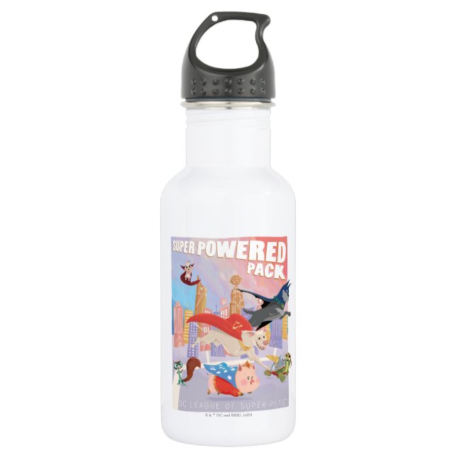 Botella De Agua Ilustracion Metropolis de Pack Super Powered (Anverso)