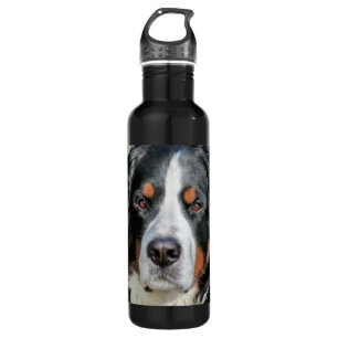 Botella De Agua Imagen de la foto del perro de montaña de Bernese