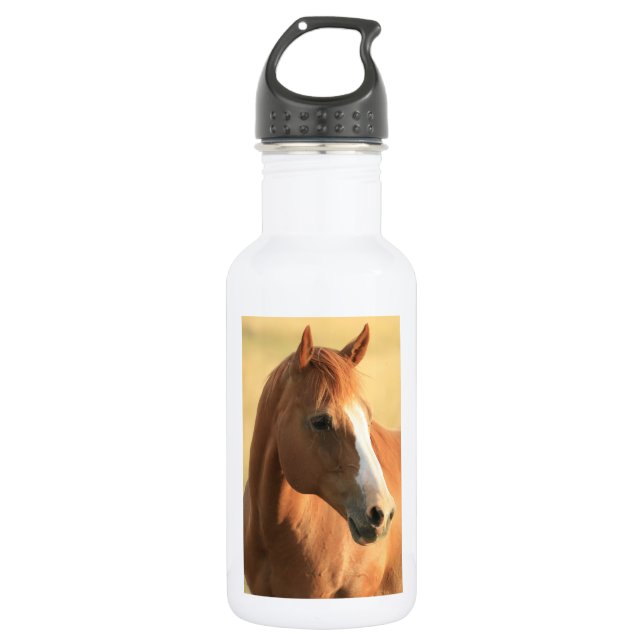 Botella De Agua Imagen del caballo (Anverso)