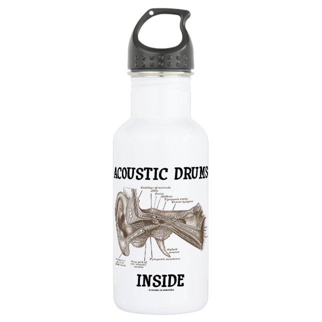 Botella De Agua Interior acústico de los tambores (anatomía del (Anverso)