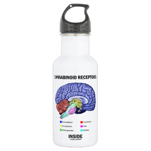 Botella De Agua Interior de los receptores de Cannabinoid