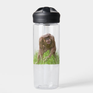 Botella De Agua Jambo El Único Chimpancé Sin Cabello