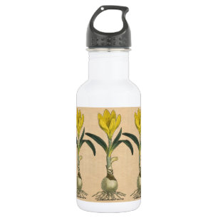 Botella De Agua Jardín Botánico de Tulipanes Amaryllis Flor