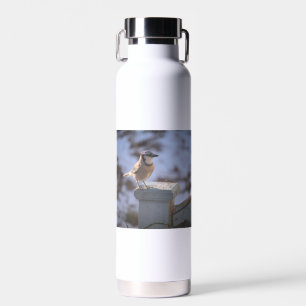 Botella De Agua Jay azul