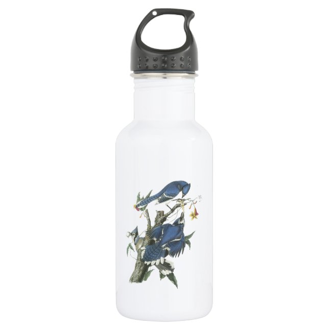 Botella De Agua Jay azul de Audubon (Anverso)