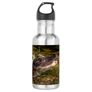 Botella De Agua Joven lagarto