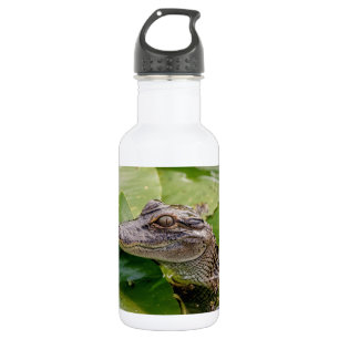 Botella De Agua Joven lagarto