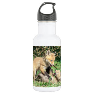Botella De Agua Juego de Red Fox Kits