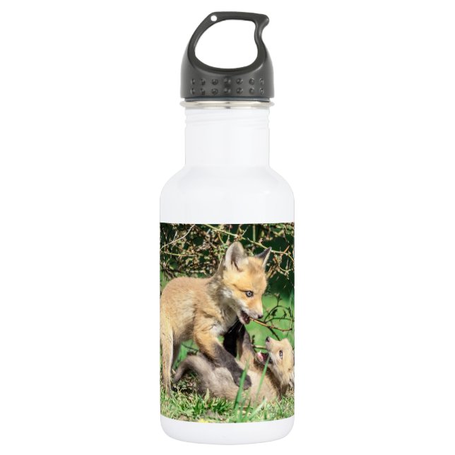Botella De Agua Juego de Red Fox Kits (Anverso)