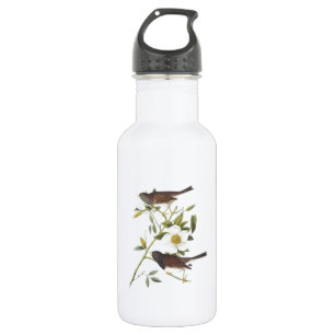 Botella De Agua Junco de ojos oscuros por Audubon