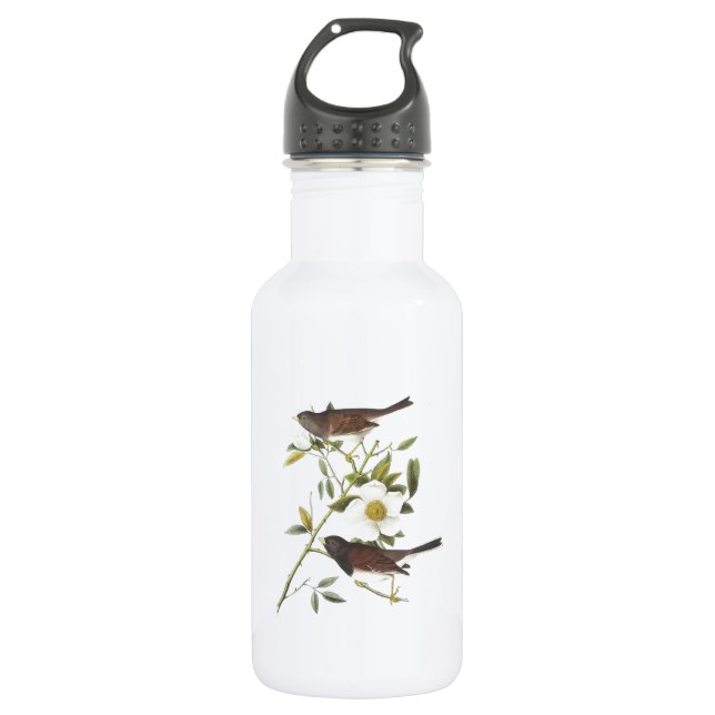 Botella De Agua Junco de ojos oscuros por Audubon (Anverso)