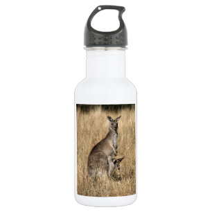 Botella De Agua Kangaroo con el bebé Joey en Pouch