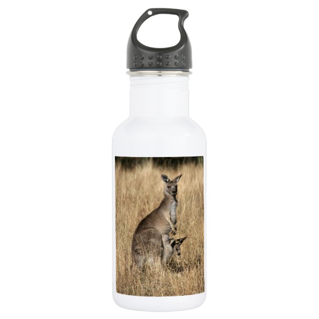 Botella De Agua Kangaroo con el bebé Joey en Pouch (Anverso)