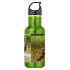 Botella De Agua Kevin The Turkey - Old Wethersfield , CT (2 fotos)