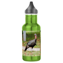 Botella De Agua Kevin The Turkey - Old Wethersfield , CT (2 fotos)