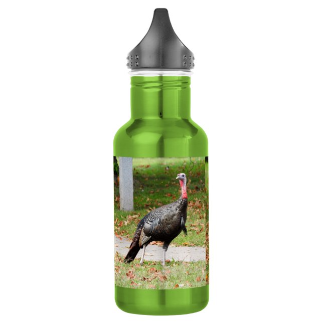 Botella De Agua Kevin The Turkey - Old Wethersfield , CT (2 fotos) (Izquierda)