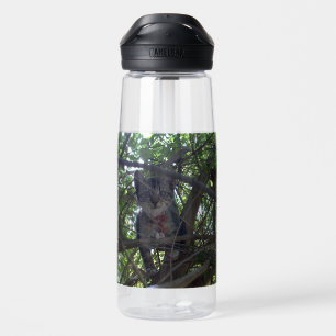 Botella De Agua Kittens First Tree Tops Adventure