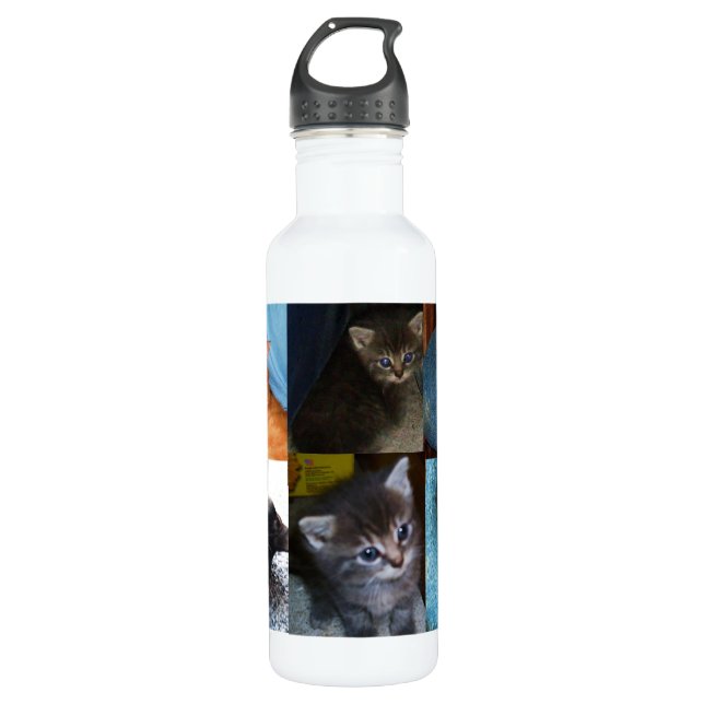 Botella De Agua KITTY CATS jug (Anverso)