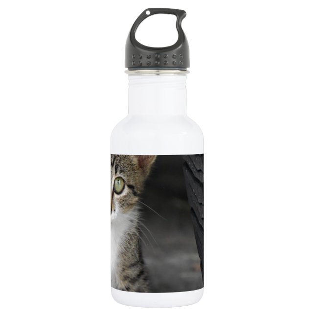 Botella De Agua Kitty.JPG (Anverso)