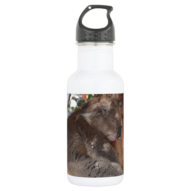 Botella De Agua Koala (Anverso)