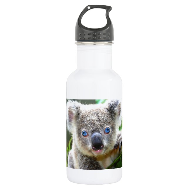 Botella De Agua Koala Bears (Anverso)