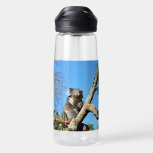 Botella De Agua Koala Tiene Tiempo Para Reflexionar Sobre La Vida,