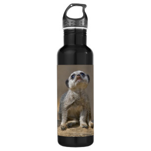 Botella De Agua Kute Kat