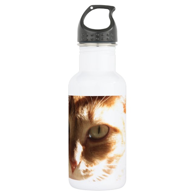 Botella De Agua ¡Kute Kitty! (Anverso)