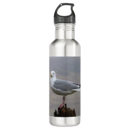 Botella De Agua La gaviota en el poste mientras nevaba