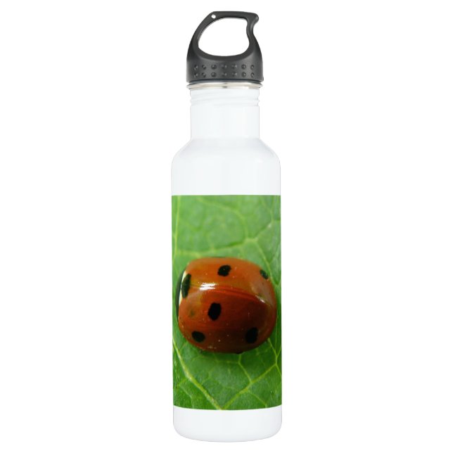 Botella De Agua Ladybug (Anverso)
