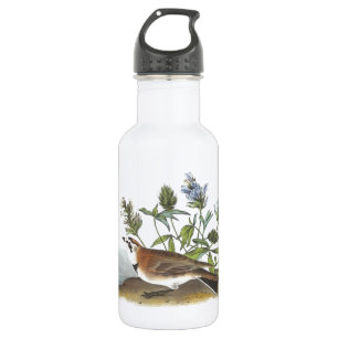 Botella De Agua Largo jorobado de Audubon