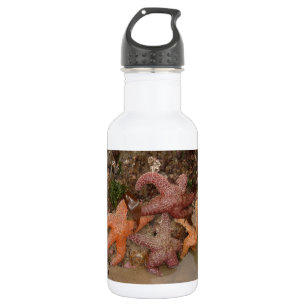 Botella De Agua Las estrellas de mar/las estrellas de mar en cañón