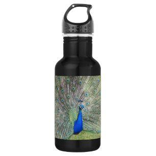 Botella De Agua Las fans indias masculinas de un pavo real es