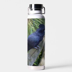 Botella De Agua Las plumas negras: el loro negro australiano