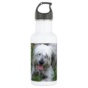 Botella De Agua Lazy Mutt
